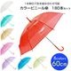 60cm ���顼�ӥˡ��뻱 �������٤륫�顼�������� 180�ܥ��åȡ�3c/s��
