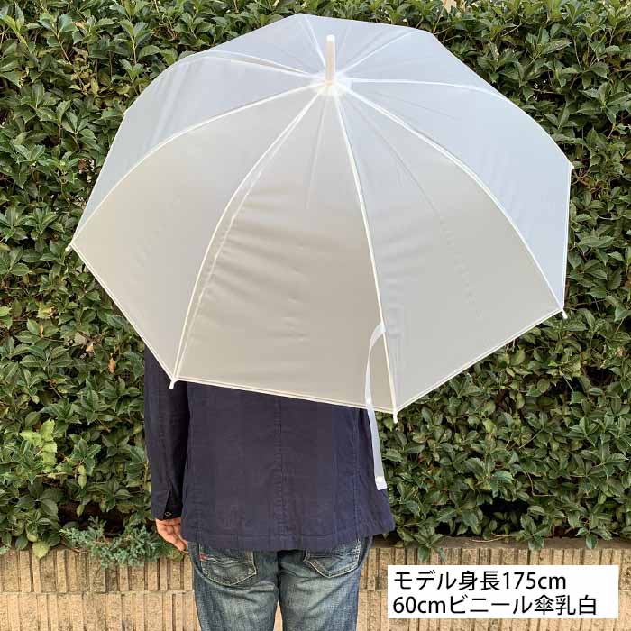 ӥˡ뻱 60cmʥܥˡס60ܥåȡ1c/s