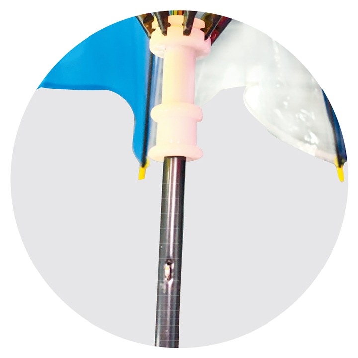 �ڥѥ��ƥ�ΤߡۻҶ��ѻ� �ˤ���������֥�� ���å� 53cm �곫����72�ܥ��å�(2c/s)����83384��