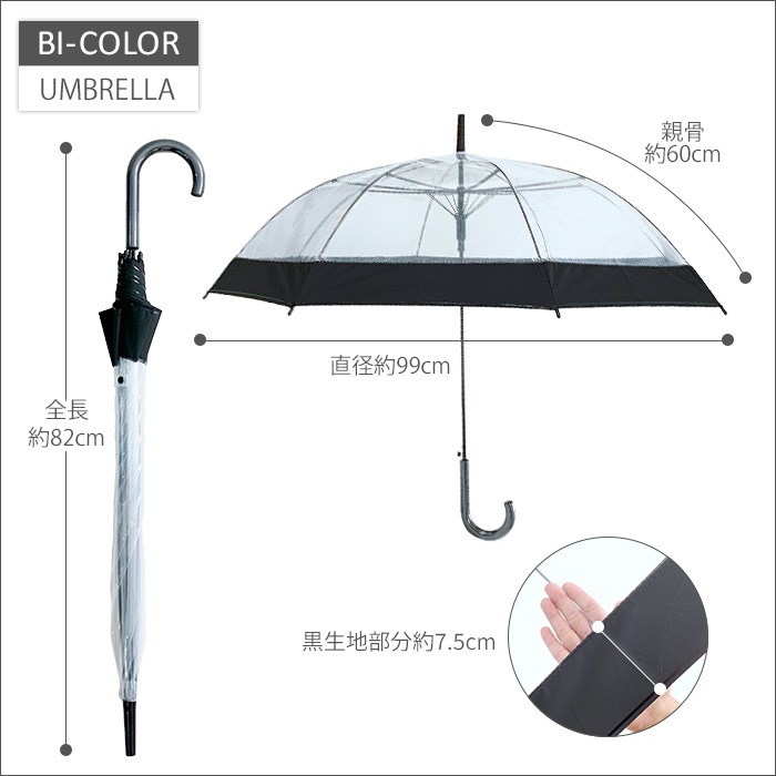 �Х����顼�ӥˡ��뻱 60cm ���ߥ��ꥢ 12�ܥ��å�