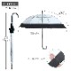 �Х����顼�ӥˡ��뻱 60cm ���ߥ��ꥢ 12�ܥ��å�