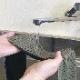�ô������� 100���å�(7682-55) �䴶������