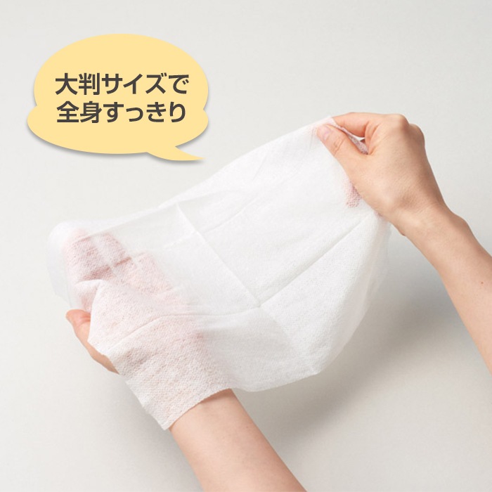 ひんやり爽快シート 大判 15枚入 100個セット(2c/s)｜卸スタジアム