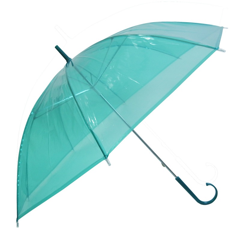 �ӥˡ��뻱50cm�����顼 �п��ʥ��꡼��ˡ�30�ܥ��å�