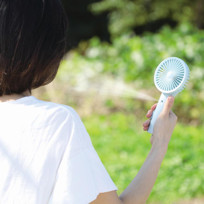 �����ǥ�����ʥߥ��ȥե��� 50���å�(7663-60)