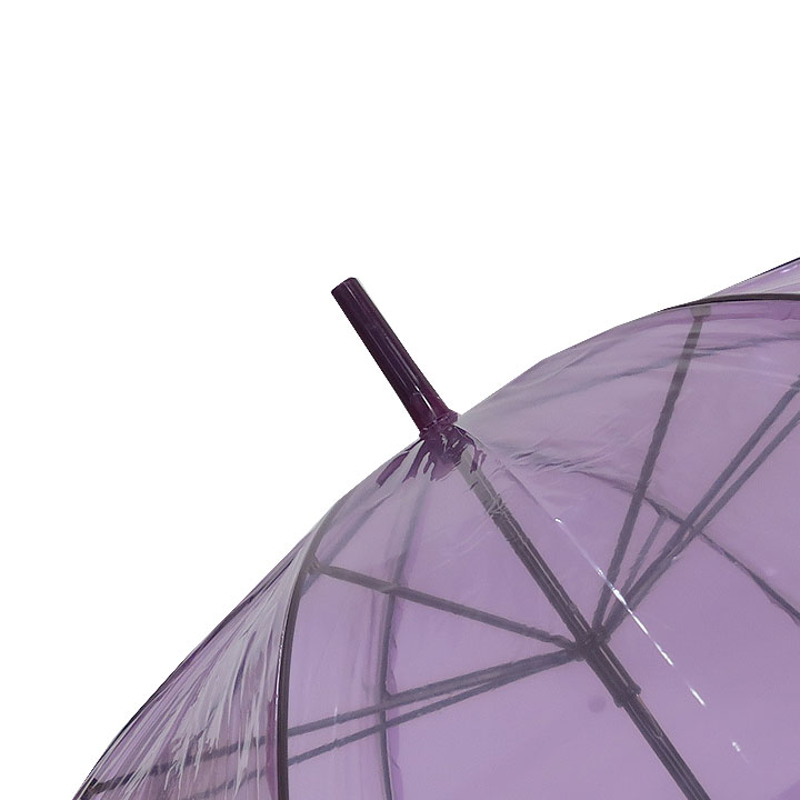 ӥˡ뻱50cm顼 硡6ܥå