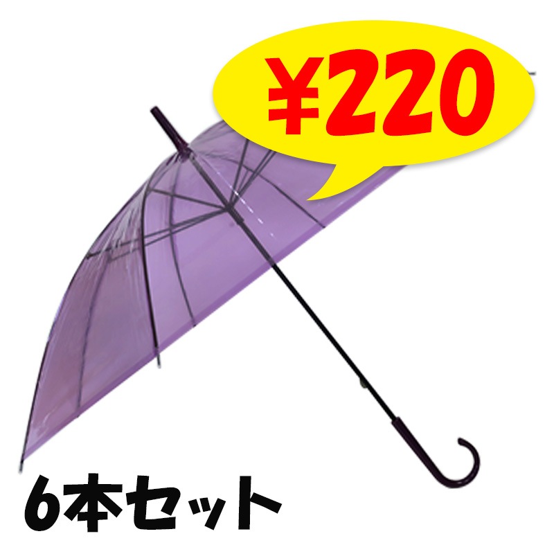 �ӥˡ��뻱50cm�����顼 �硡6�ܥ��å�