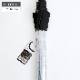 �Х����顼�ӥˡ��뻱 60cm ���ߥ��ꥢ 300�ܥ��åȡʣ�c/s��
