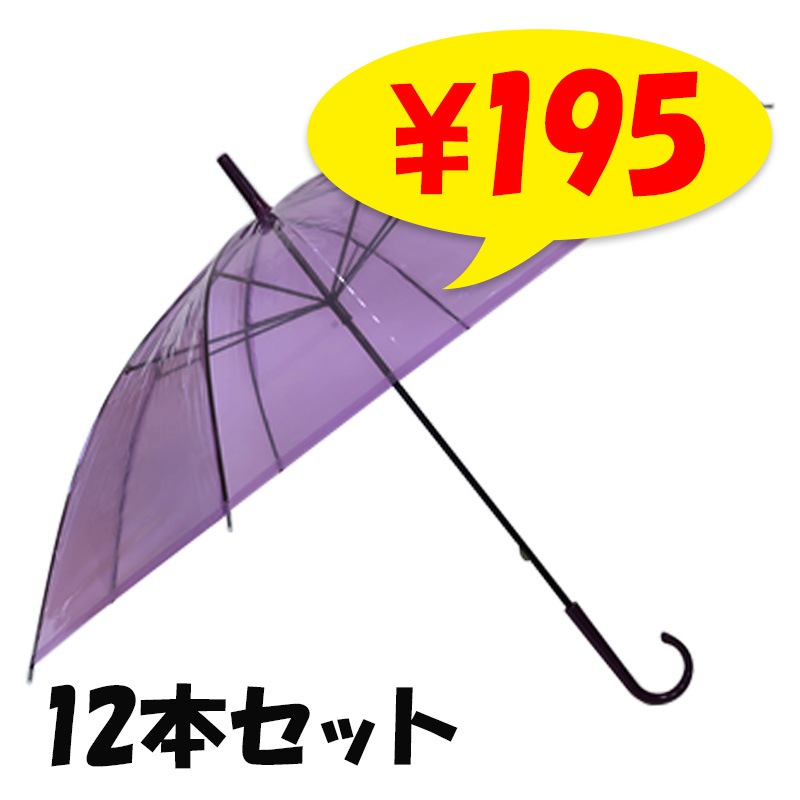 �ӥˡ��뻱50cm�����顼 �硡12�ܥ��å�