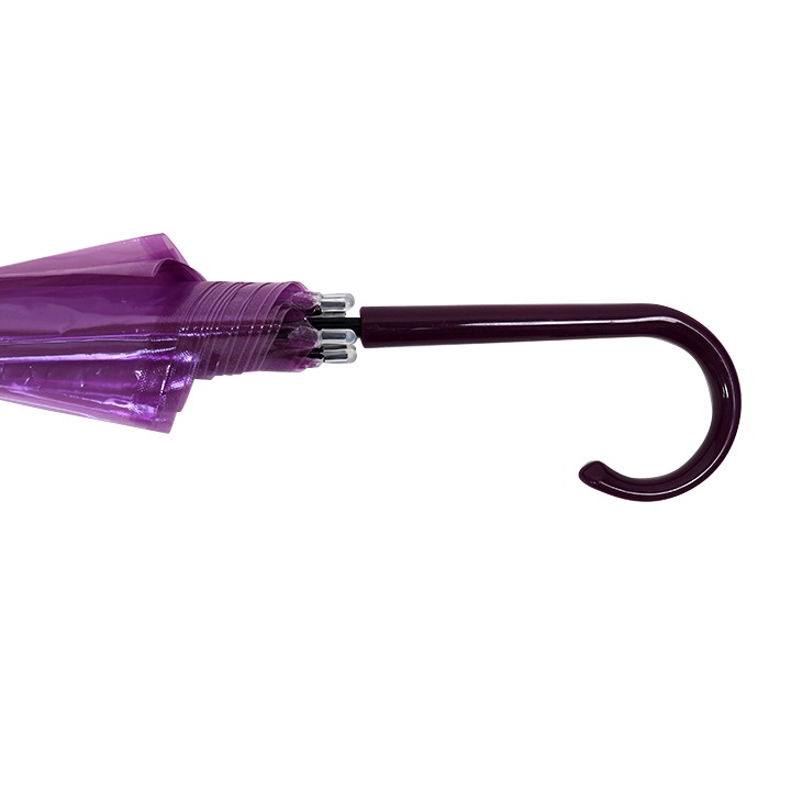 �ӥˡ��뻱50cm�����顼 �硡60�ܥ��� �� (1c/s)