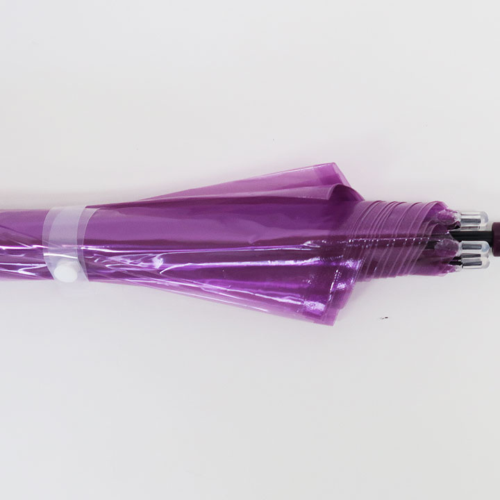 �ӥˡ��뻱50cm�����顼 �硡600�ܥ��� �� (10c/s) 