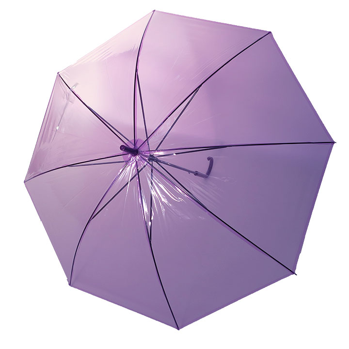 �ӥˡ��뻱50cm�����顼 �硡600�ܥ��� �� (10c/s) 