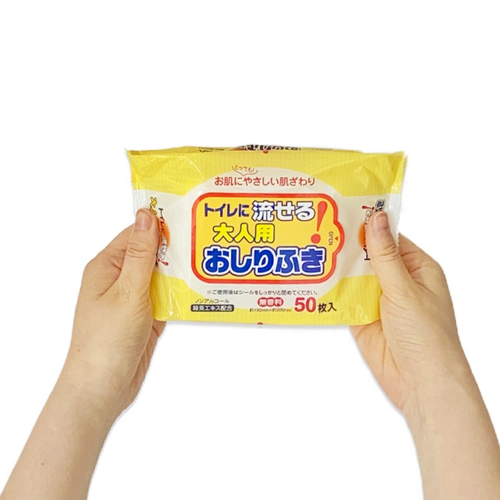 トイレに流せる 大人用おしりふき 50枚入 120個セット(N031)【ノン