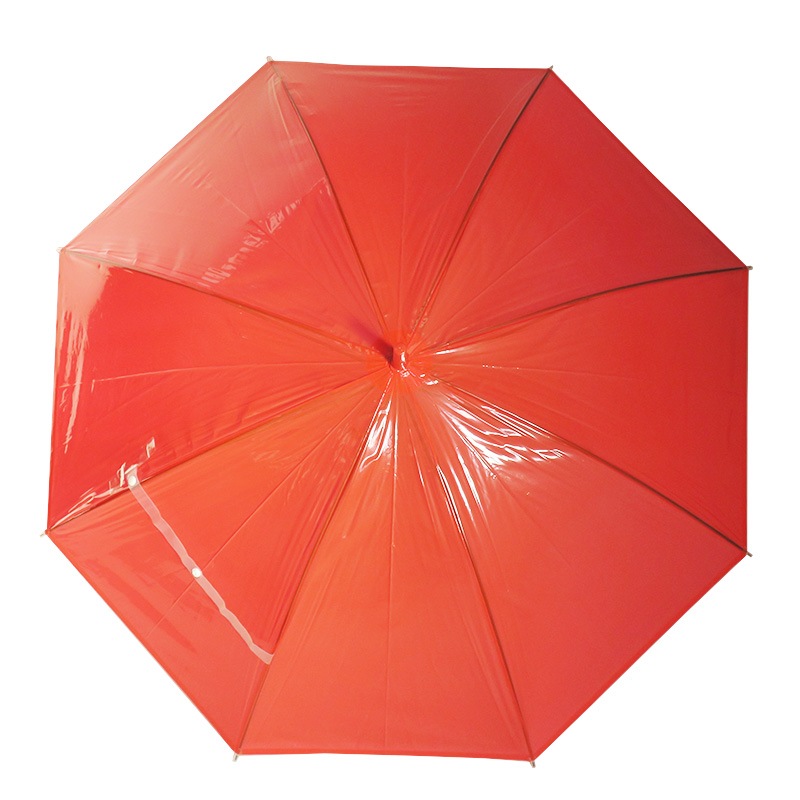 �ӥˡ��뻱50cm ���顼 �֡ʥ�åɡ� 1�ܥ��å�