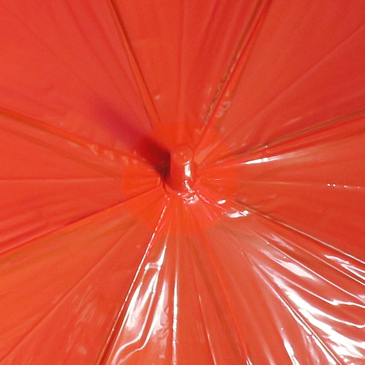 ӥˡ뻱50cm 顼 ֡ʥåɡ 1ܥå