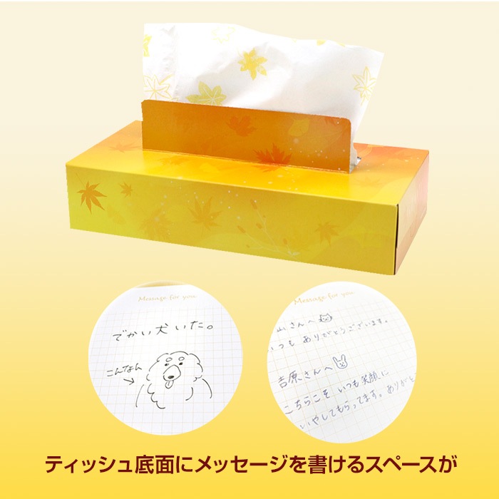 2024 紅葉 ボックスティッシュ 120W 120個セット(2c/s)(20120139