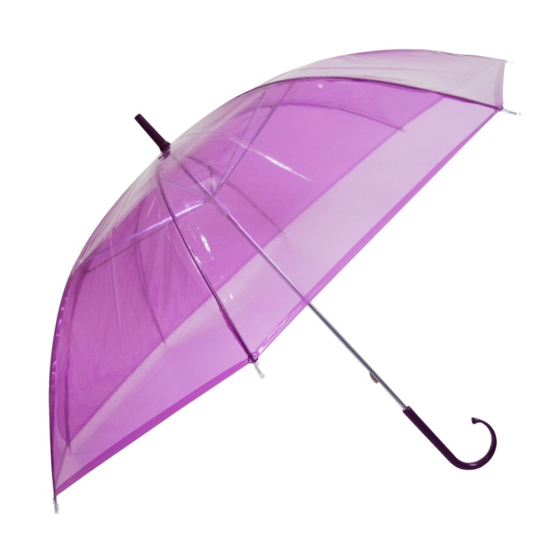 �ӥˡ��뻱50cm�����顼 �翧�ʥѡ��ץ�ˡ�30�ܥ��å�