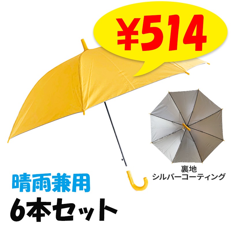 55cm ��Ƹ�����׻� �������� 6�ܥ��å� #533UV �Ҷ��� ���� ���饹�ե����С���