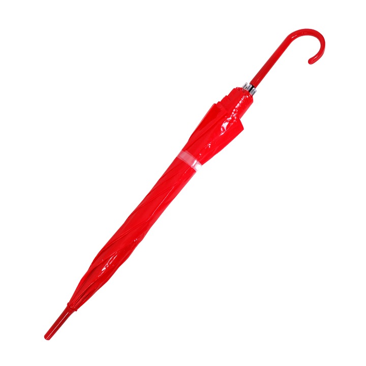 ӥˡ뻱50cm 顼 ֡ʥåɡ 12ܥå