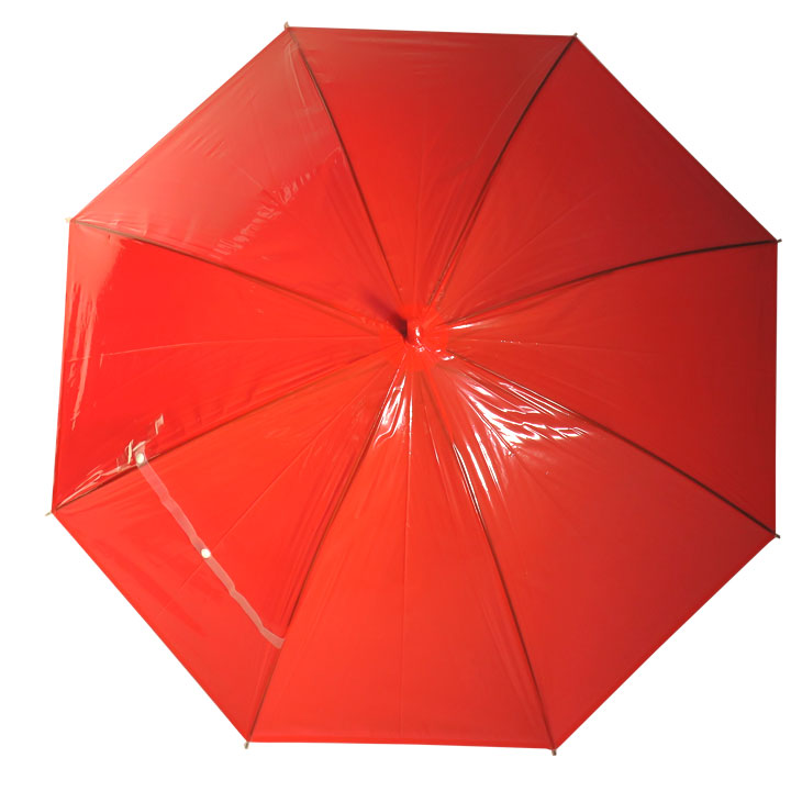 ӥˡ뻱50cm 顼 ֡ʥåɡ 12ܥå