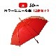 ӥˡ뻱50cm 顼 ֡ʥåɡ 12ܥå