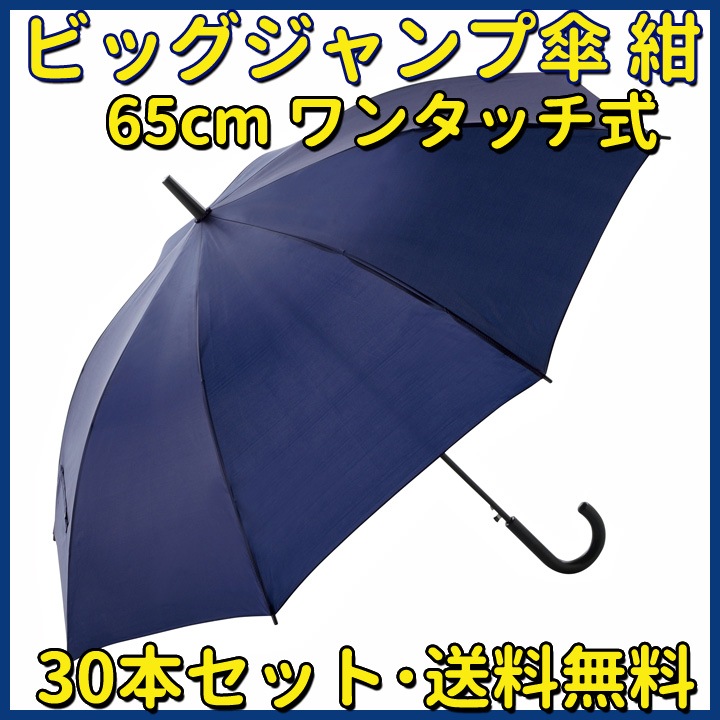 �١����å��ӥå������׻��ʥͥ��ӡ���30�ܥ��åȡ����緿�����׼������������� #2318530