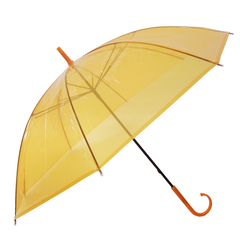 �ӥˡ��뻱50cm�����顼 �����ʥ���󥸡ˡ�60�ܥ��åȡ�60�ܡ�1c/s��