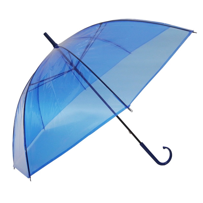 �ӥˡ��뻱50cm�����顼 �Ŀ��ʥ֥롼�ˡ�120�ܥ��åȡ�60�ܡ�2c/s��