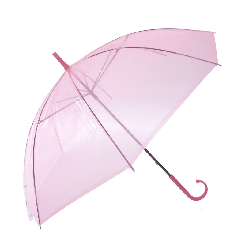 �ӥˡ��뻱50cm�����顼 �����ʥԥ󥯡ˡ�600�ܥ��åȡ�60�ܡ�10c/s��