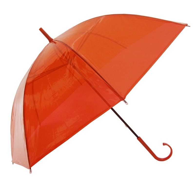 �ӥˡ��뻱50cm�����顼 �ֿ��ʥ�åɡˡ�60�ܥ��åȡ�60�ܡ�1c/s��