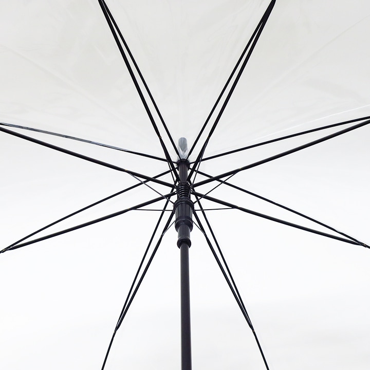 ��¨Ǽ����Ź���ꥸ�ʥ롡65cm�ӥˡ��뻱 �����祵�����ˡ������׼���Ʃ�� ������6�ܥ��å�