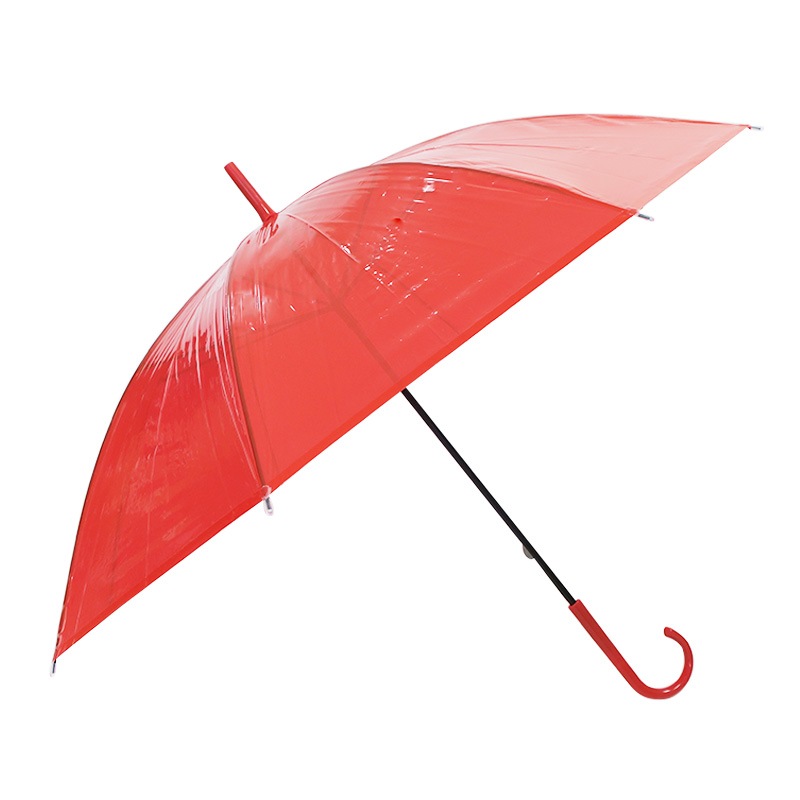 �ӥˡ��뻱50cm�����顼 �֡ʥ�åɡ� 30�ܥ��åȡ�0.5c/s) 