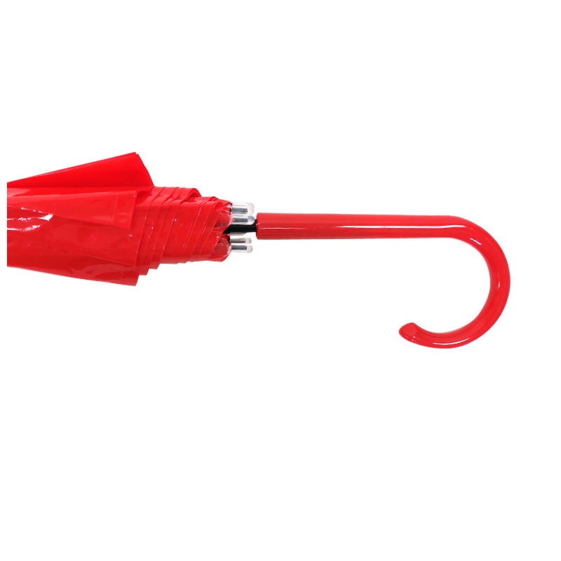 �ӥˡ��뻱50cm�����顼 �֡ʥ�åɡ� 30�ܥ��åȡ�0.5c/s) 