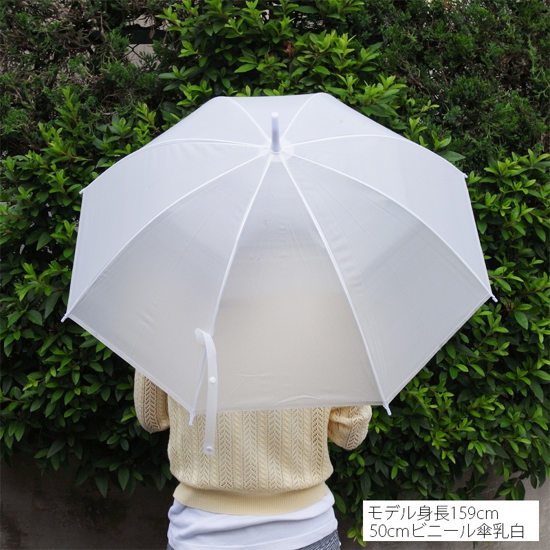 ��¨Ǽ��50cm �ӥˡ��뻱 ���ܹ� �곫�������� ���� 36�ܥ��å�