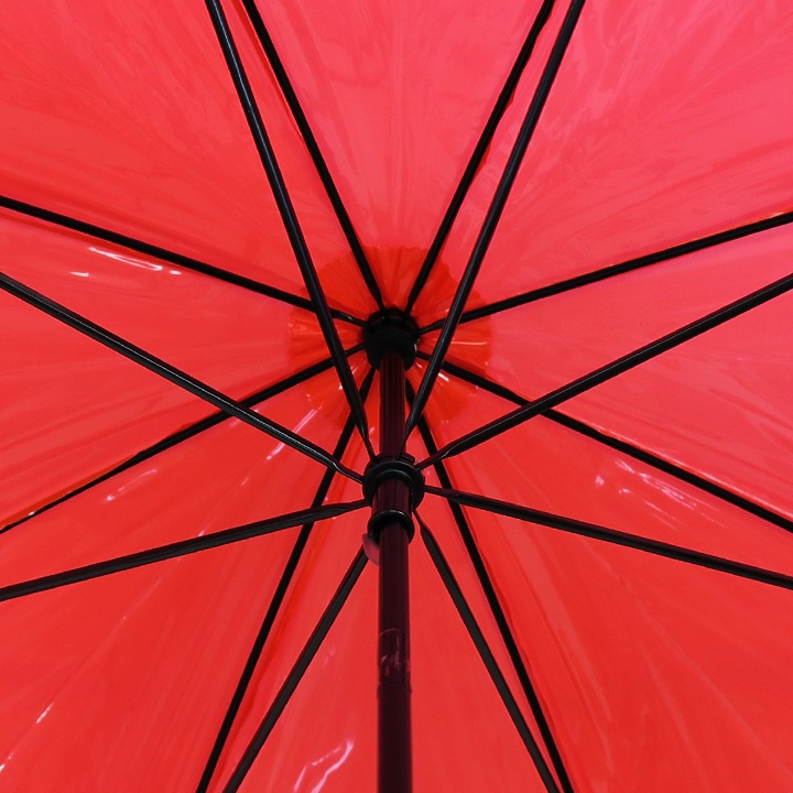 ӥˡ뻱50cm 顼 ֡ʥåɡ120ܥåȡ2c/s) 