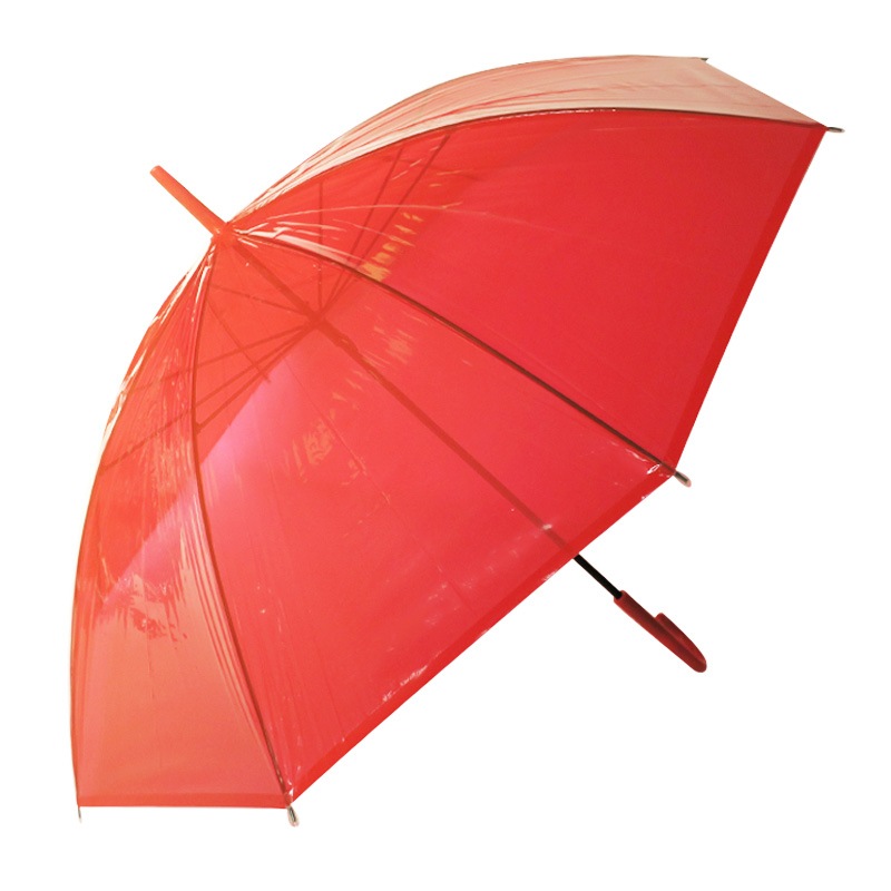 �ӥˡ��뻱50cm�����顼 �֡ʥ�åɡ� 300�ܥ��åȡ�5c/s) 