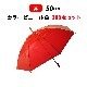 ӥˡ뻱50cm顼 ֡ʥåɡ 300ܥåȡ5c/s) 