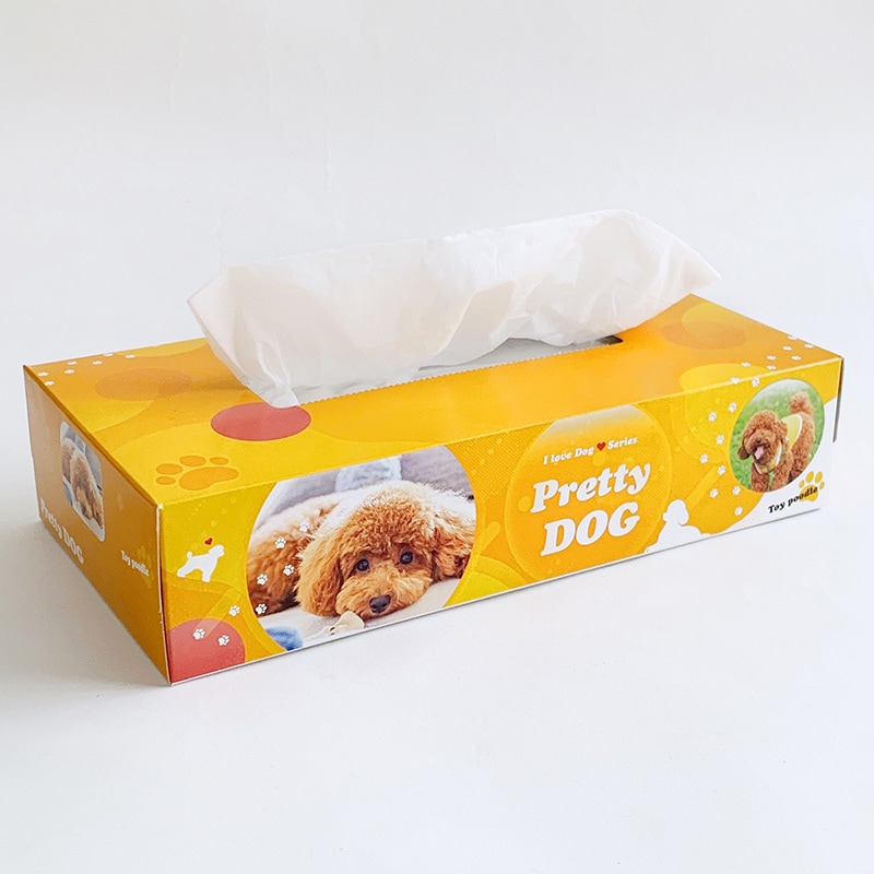 BOXティッシュ プリティドッグ 3P×24パック×3c/s（216個セット）｜卸