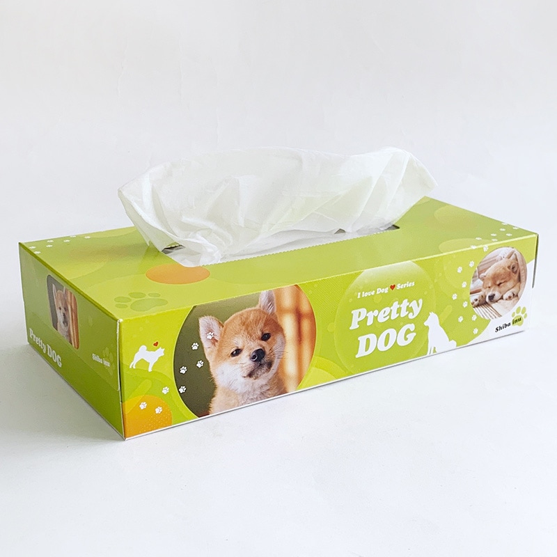 BOXティッシュ プリティドッグ 3P×24パック×3c/s（216個セット）｜卸