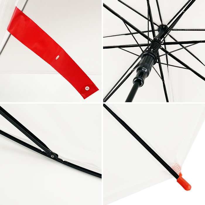 �ݥ���ȥ��顼�ӥˡ��뻱 60cm �֡ߥۥ磻�� 6�ܥ��å�