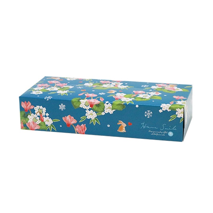 HanaSmile 冬 BOXティッシュ120W 60個セット(1c/s)｜卸スタジアム