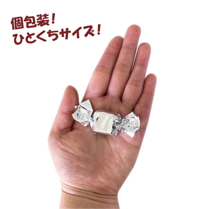 メーカー終売】シルバーチョコ 500g 12袋セット（1c/s）｜卸スタジアム