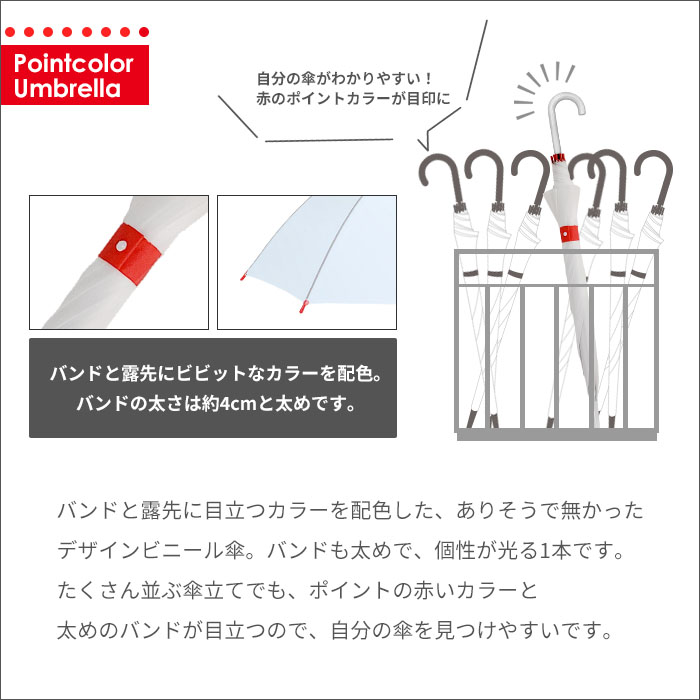 �ݥ���ȥ��顼�ӥˡ��뻱 60cm �֡ߥۥ磻�� 30�ܥ��å�