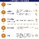 ���ꥸ�ʥ���¥�������ʥ��饷������������ Ž�� �ߥ� 100�ĥ��å�