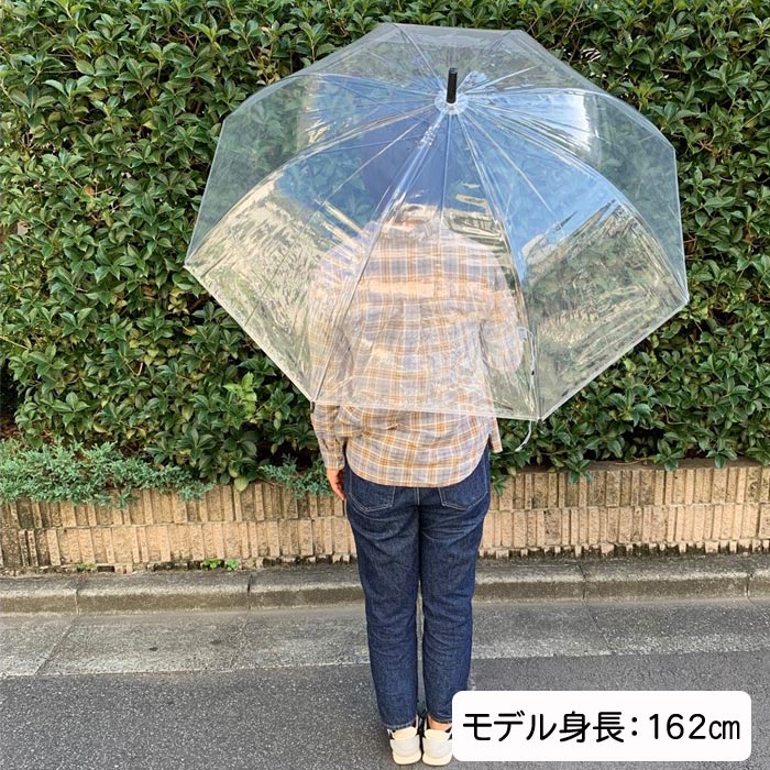 80cm �ӥˡ��뻱 Ʃ�� �����׼� 1�ܥ��å� ���绱