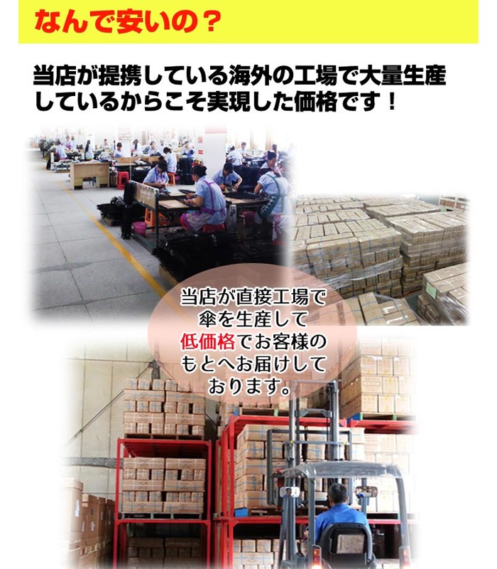 80cm �ӥˡ��뻱 Ʃ�� �����׼� 1�ܥ��å� ���绱