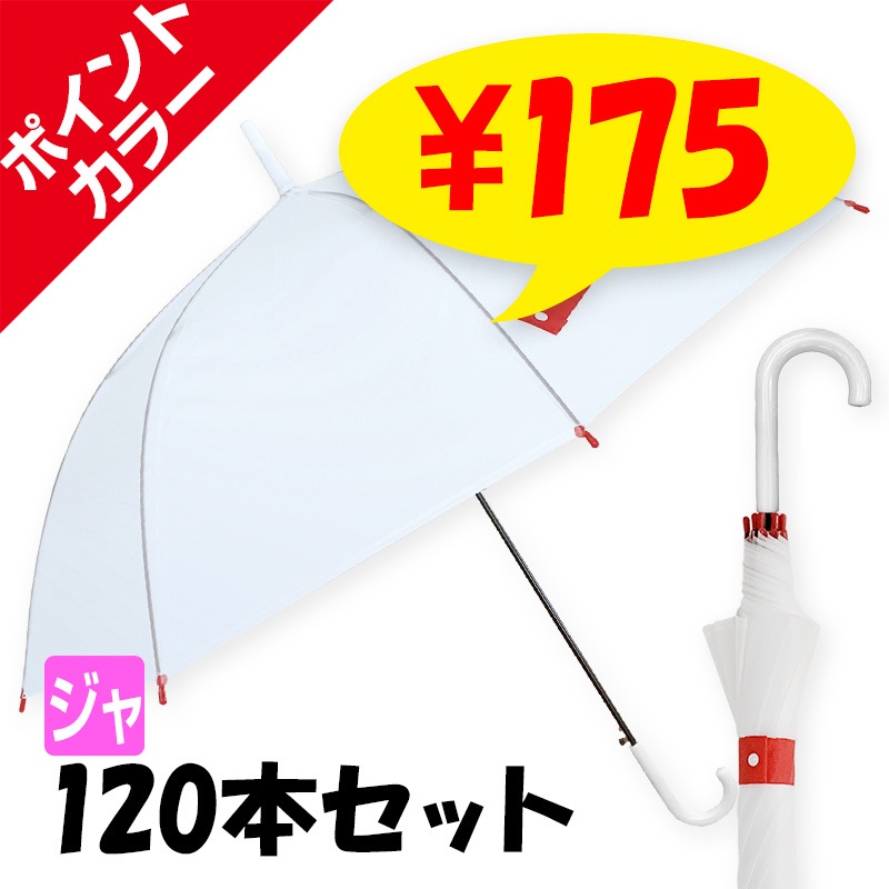 �ݥ���ȥ��顼�ӥˡ��뻱 60cm �֡ߥۥ磻�� 120�ܥ��å�(2c/s)
