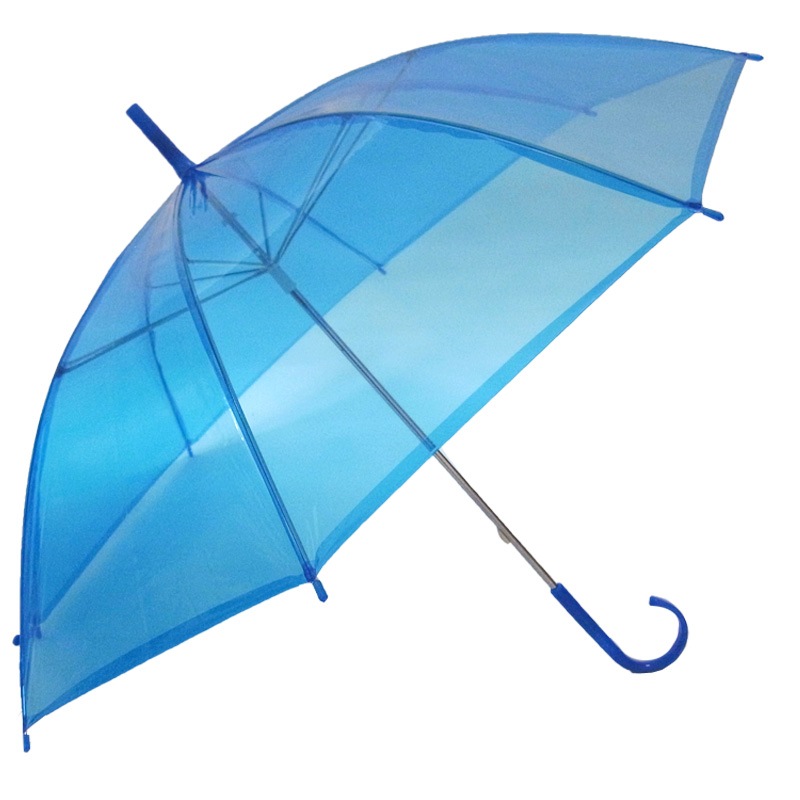 50cm���顼�ӥˡ��뻱 1�ܡʥ���ץ��ѡˢ��������Բ�#502