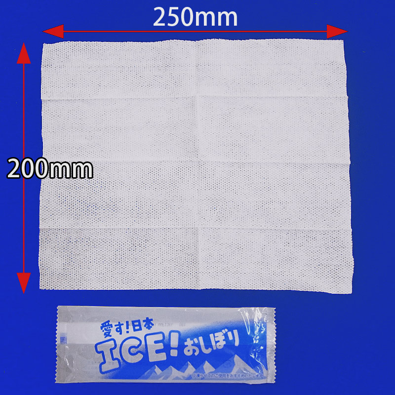 ICE! おしぼり 6,000本セット(5c/s) ☆冷凍おしぼり☆｜卸スタジアム