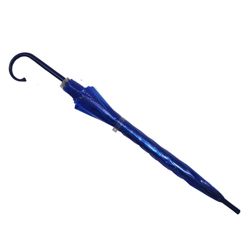 �ӥˡ��뻱50cm�����顼 �Ŀ��ʥ֥롼�ˡ�60�ܥ��åȡ�60�ܡ�1c/s��